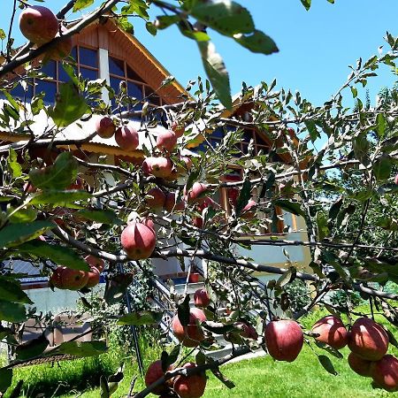 Heavenly Daze Cottage 마날리 외부 사진