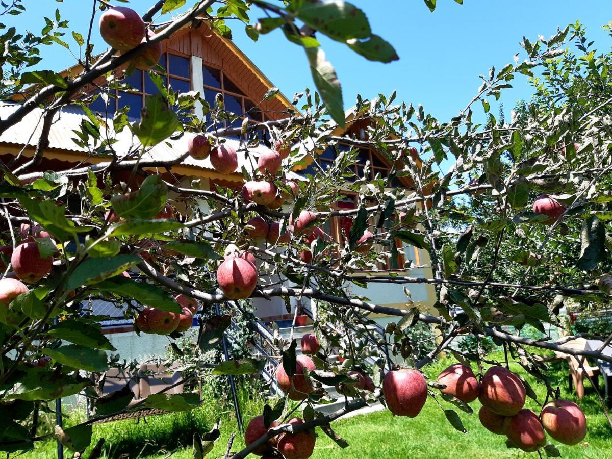 Heavenly Daze Cottage 마날리 외부 사진